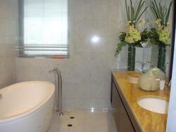 Draycott Eight (D10), Condominium #520129991